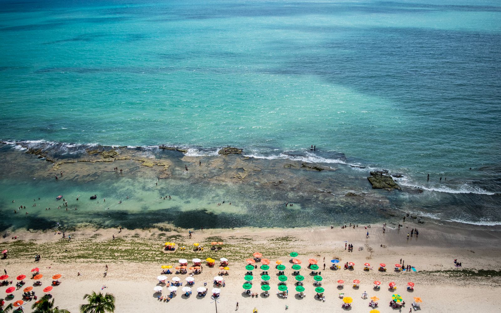 Praia urbana de Recife com coqueiros e mar calmo ao fundo