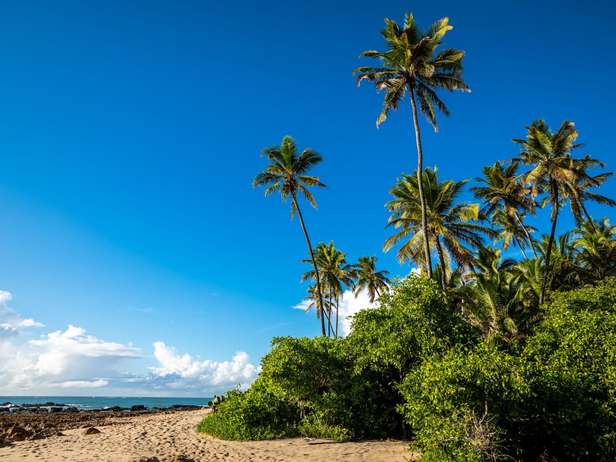 praia_dos_carneiros_destaque_551